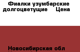 Фиалки узумбарские долгоцветущие  › Цена ­ 150 - Новосибирская обл., Новосибирск г.  »    . Новосибирская обл.,Новосибирск г.